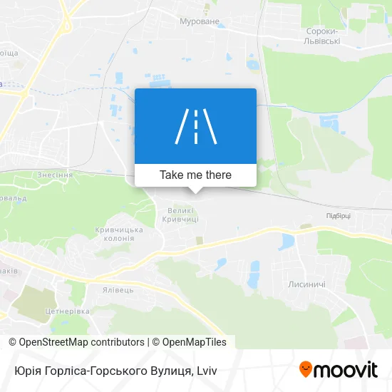Карта Юрія Горліса-Горського Вулиця