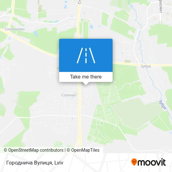 Карта Городнича Вулиця