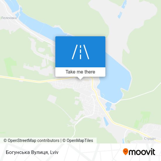 Карта Богунська Вулиця