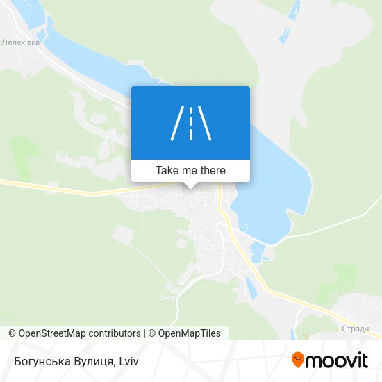 Карта Богунська Вулиця