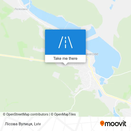 Лісова Вулиця map