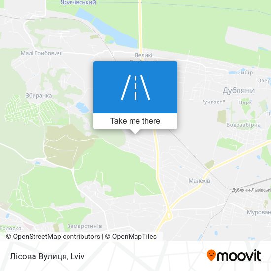 Лісова Вулиця map