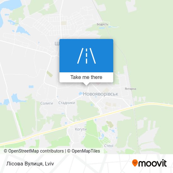 Лісова Вулиця map