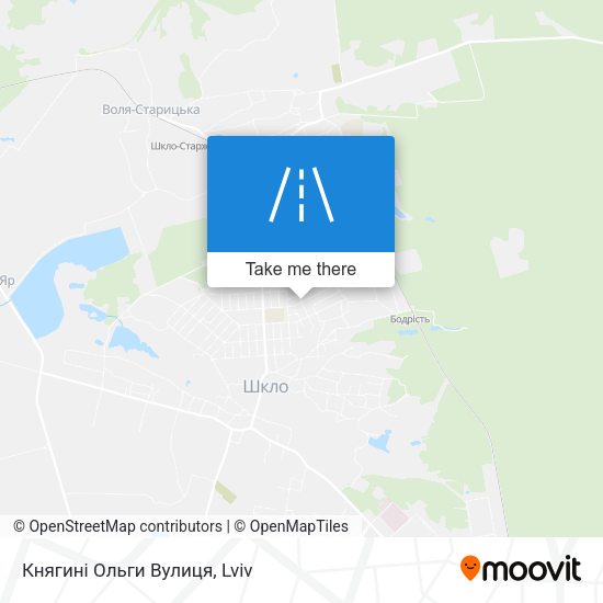 Княгині Ольги Вулиця map
