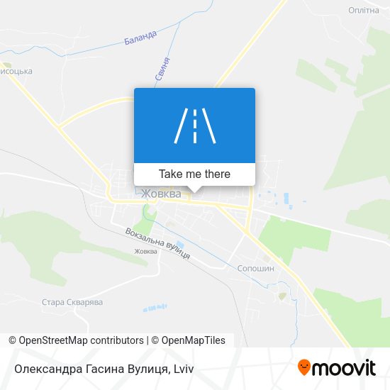 Олександра Гасина Вулиця map