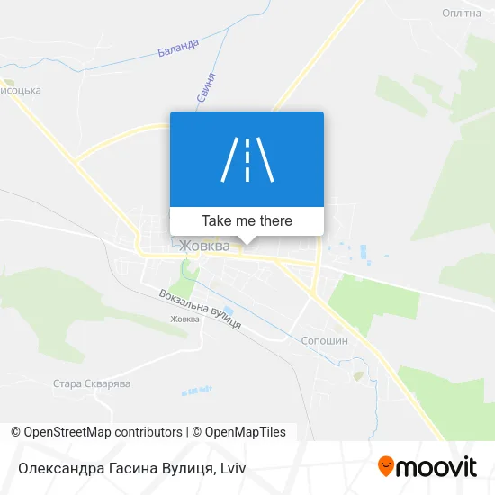 Карта Олександра Гасина Вулиця