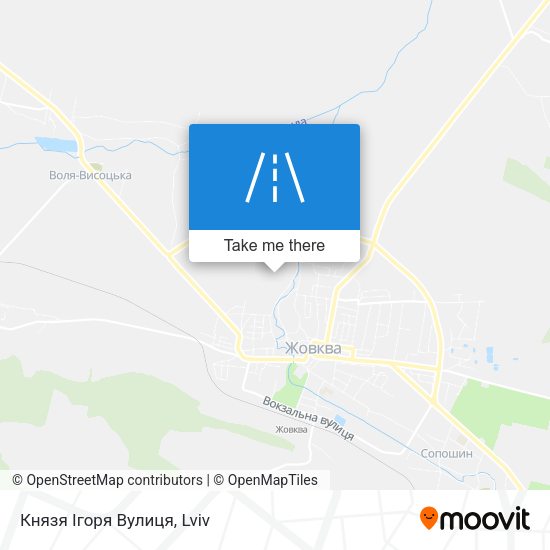 Князя Ігоря Вулиця map