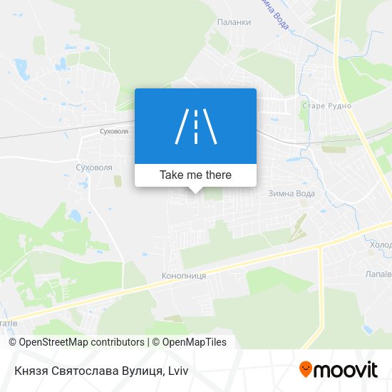 Князя Святослава Вулиця map