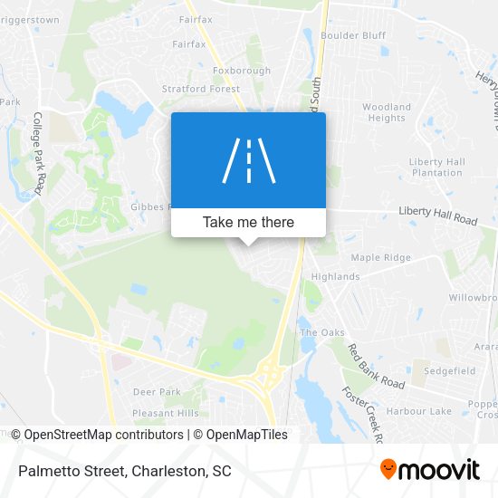 Palmetto Street map