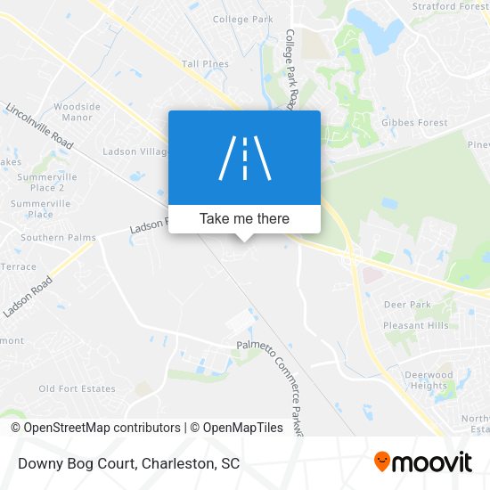 Downy Bog Court map