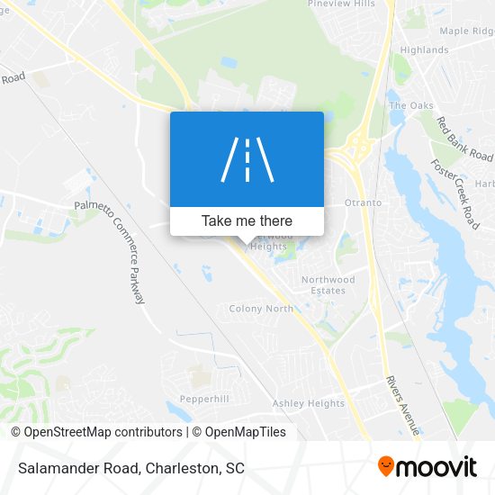 Mapa de Salamander Road