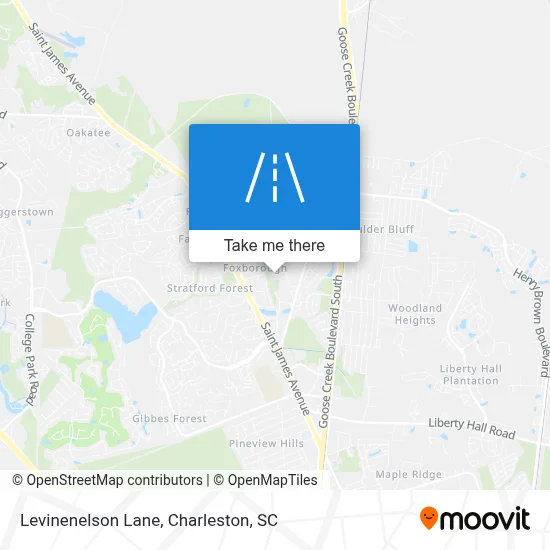 Levinenelson Lane map