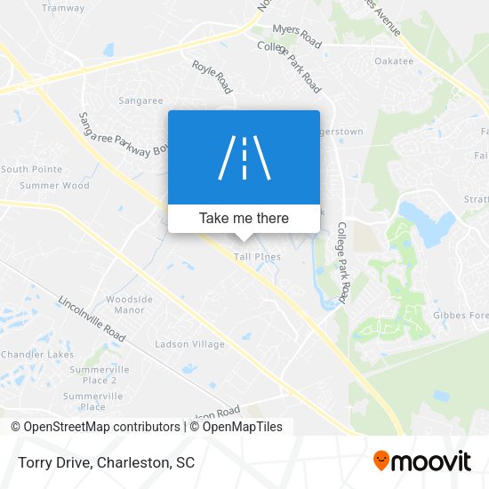 Mapa de Torry Drive