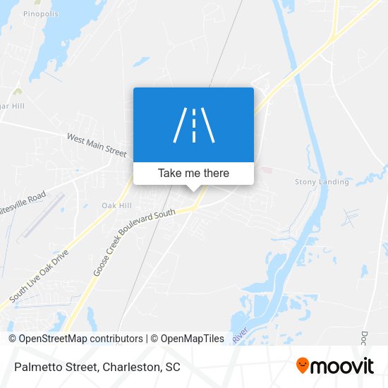 Palmetto Street map
