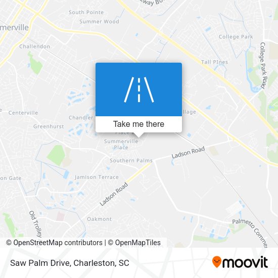 Mapa de Saw Palm Drive