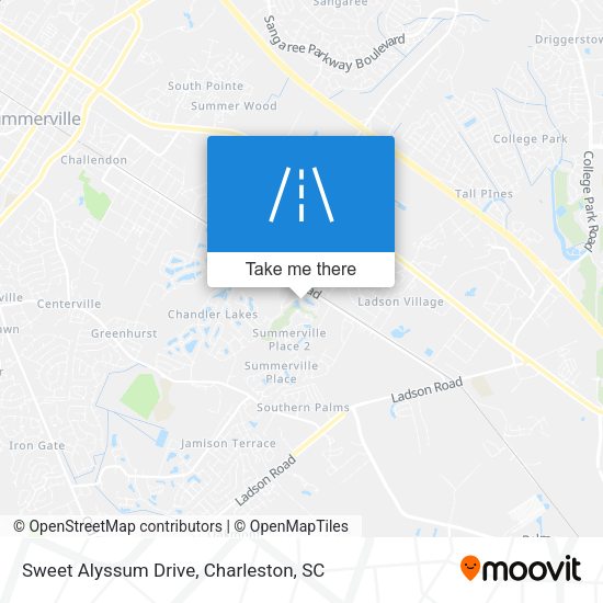 Sweet Alyssum Drive map