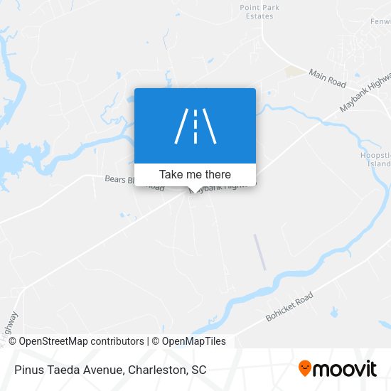 Pinus Taeda Avenue map