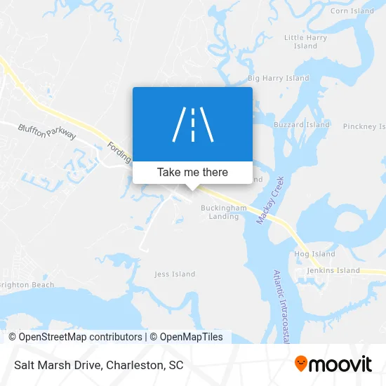 Salt Marsh Drive map