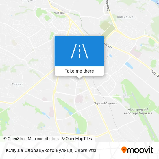 Карта Юліуша Словацького Вулиця