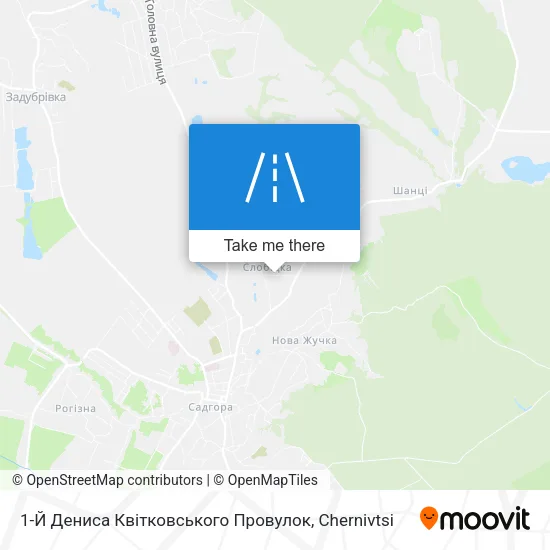 Карта 1-Й Дениса Квітковського Провулок