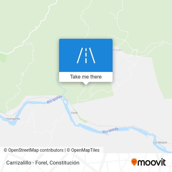 Mapa de Carrizalillo - Forel