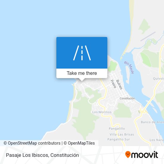 Pasaje Los Ibiscos map