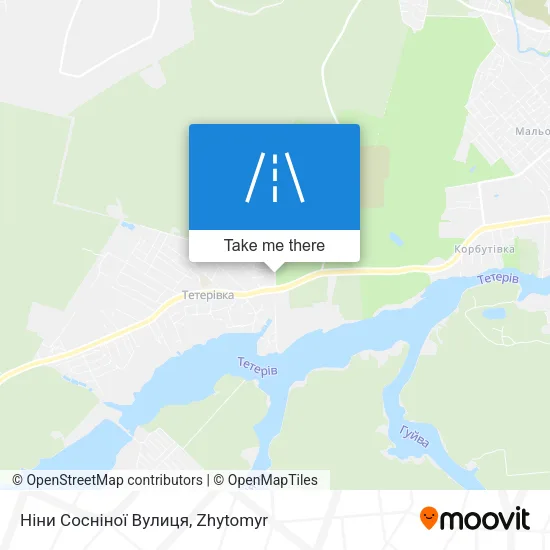 Карта Ніни Сосніної Вулиця