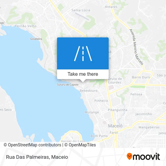 Rua Das Palmeiras map