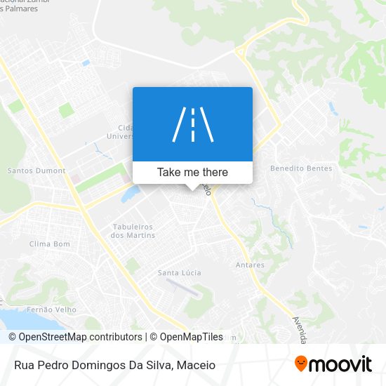 Rua Pedro Domingos Da Silva map