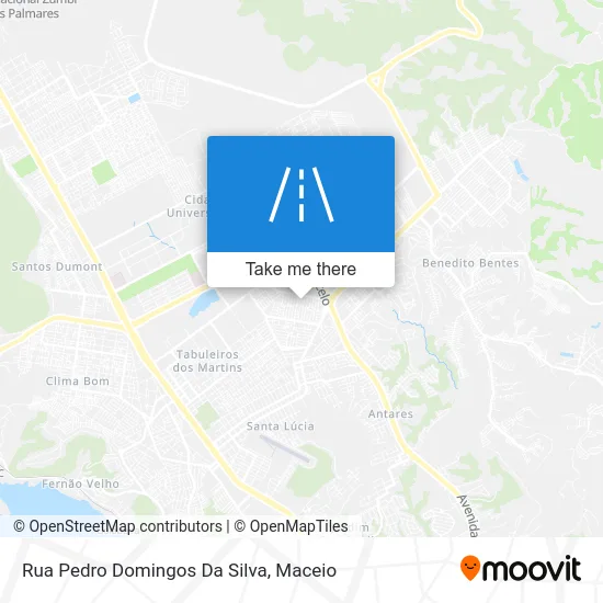 Rua Pedro Domingos Da Silva map