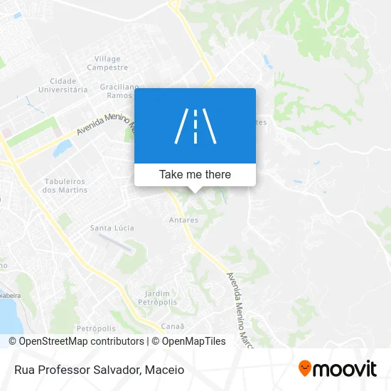 Rua Professor Salvador map