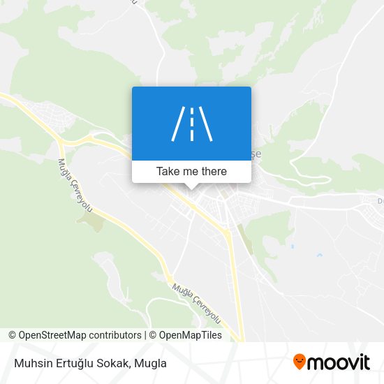 Muhsin Ertuğlu Sokak map