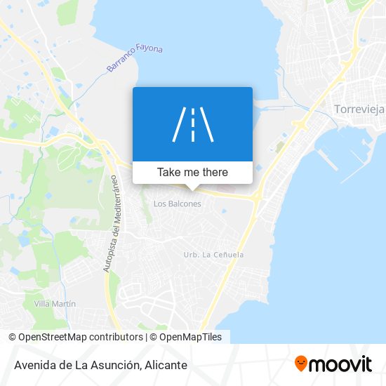 mapa Avenida de La Asunción