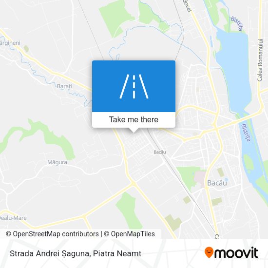 Strada Andrei Șaguna map