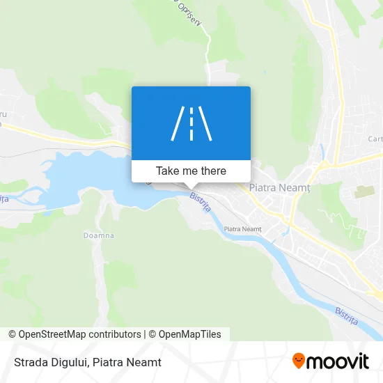 Strada Digului map