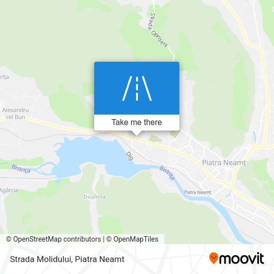 Strada Molidului map