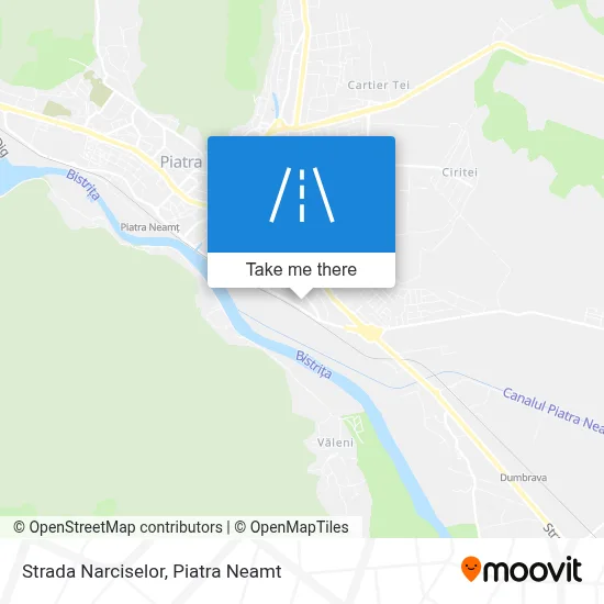 Strada Narciselor map