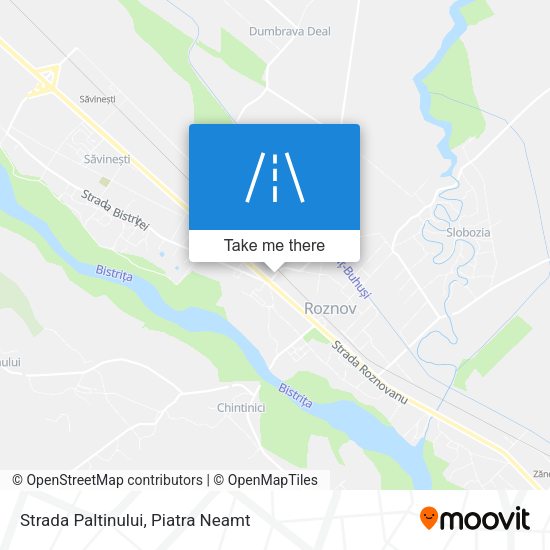 Strada Paltinului map
