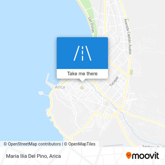 María Ilia Del Pino map
