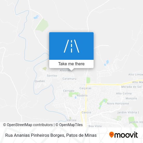 Rua Ananias Pinheiros Borges map