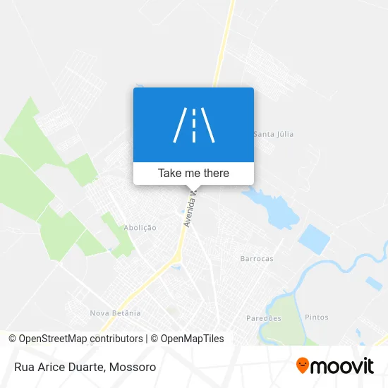 Rua Arice Duarte map
