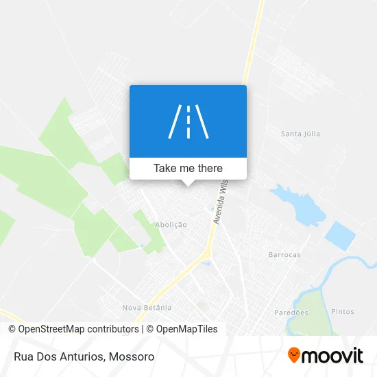 Rua Dos Anturios map
