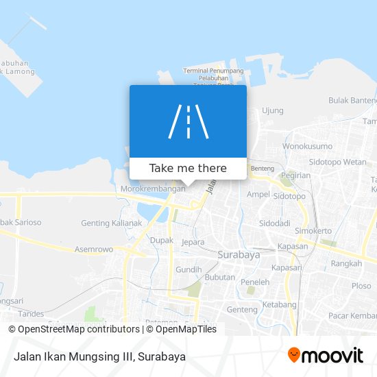 Jalan Ikan Mungsing III map