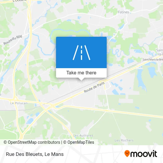 Rue Des Bleuets map