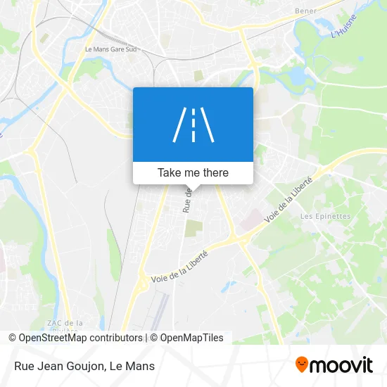 Rue Jean Goujon map