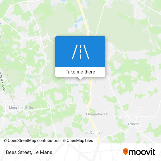 Rue Des Abeilles map