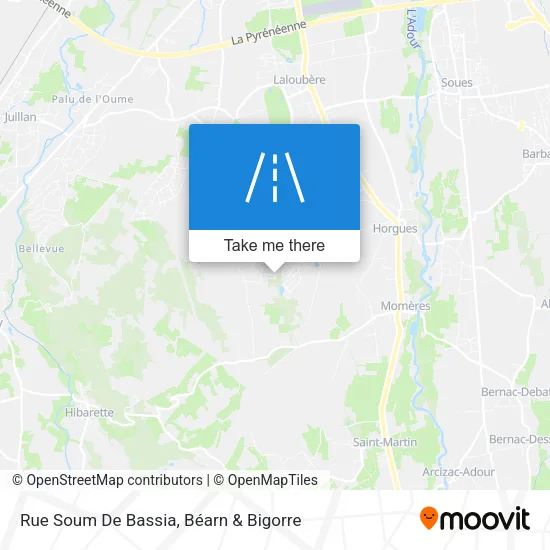 Rue Soum De Bassia map