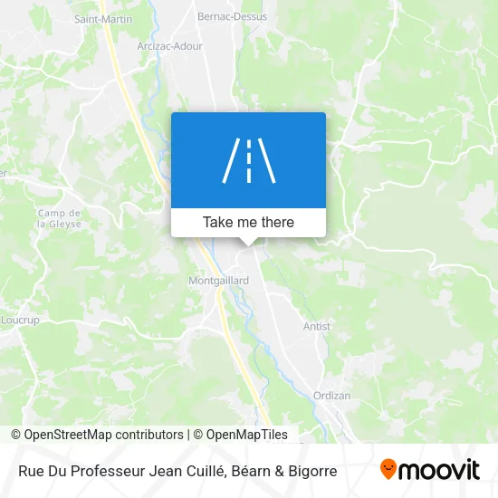 Rue Du Professeur Jean Cuillé map