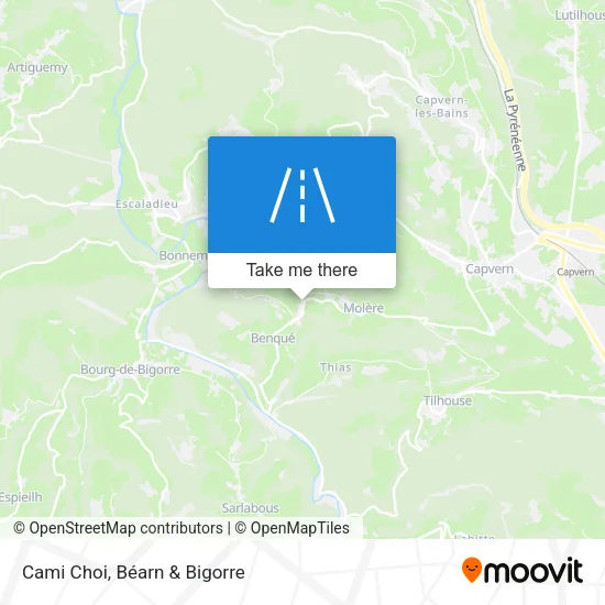 Cami Choi map