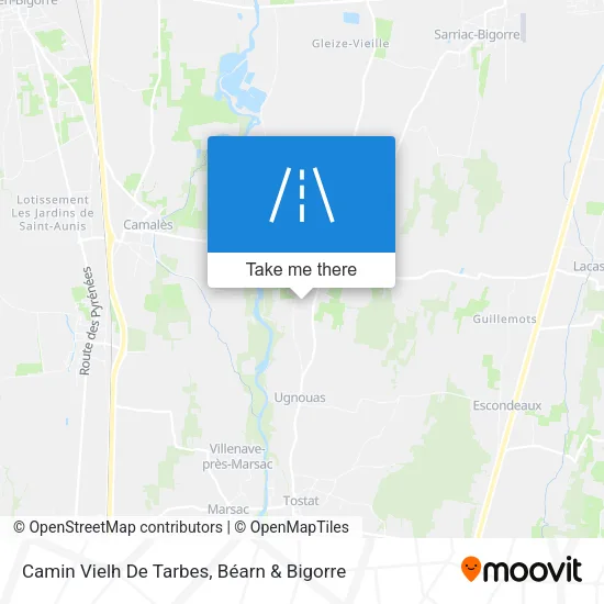 Camin Vielh De Tarbes map